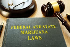 A book titled "Federal and State Marijuana Laws" on a table near a gavel and scale.